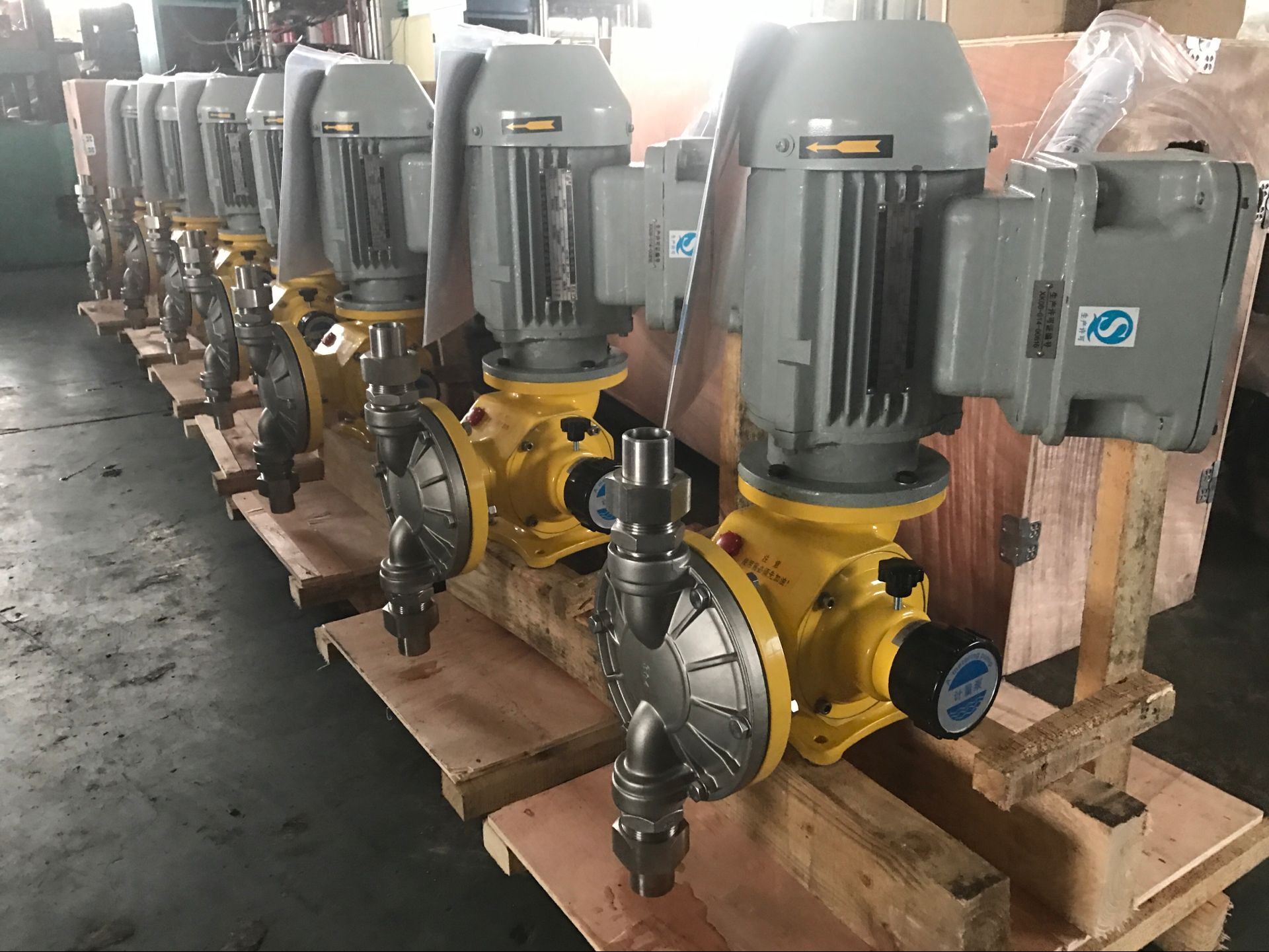 GM�͸�ĤӋ����