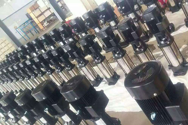 ��ʽ�༉��